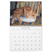 Mordi, Basil & Friends Cat Calendar 2024 カレンダー (1月 2027)