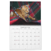 Mordi, Basil & Friends Cat Calendar 2024 カレンダー (2月 2026)
