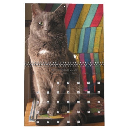 Mordi, Basil & Friends Cat Calendar 2025 カレンダー (12月 2026)