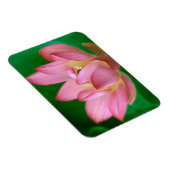 More than a Dream Magnet マグネット (右側)