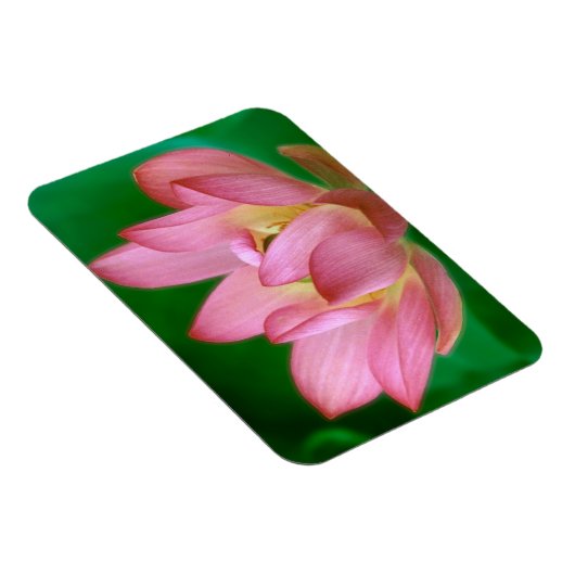 More than a Dream Magnet マグネット (右側)