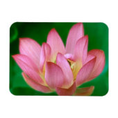 More than a Dream Magnet マグネット (横)