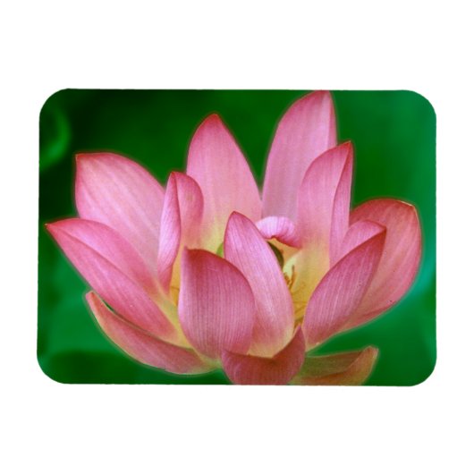 More than a Dream Magnet マグネット (横)