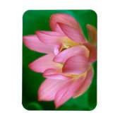 More than a Dream Magnet マグネット (縦)