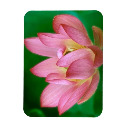 More than a Dream Magnet マグネット (縦)