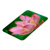 More than a Dream Magnet マグネット (左側)