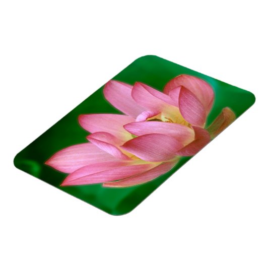 More than a Dream Magnet マグネット (左側)