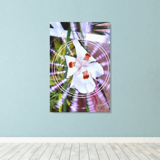 moreia branca キャンバスプリント (インサイチュ (ウッドフロア))