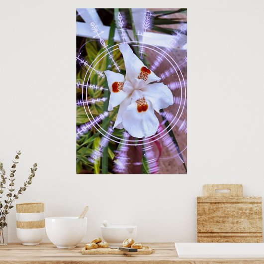 moreia branca ポスター (キッチン)