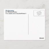 Morgantown WVスカイラインワード切り出しはがき ポストカード (裏面)