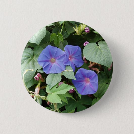 Moringの栄光の花-ボタン 缶バッジ (正面)
