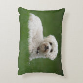 Moritz the Maltese アクセントクッション (裏面(縦))