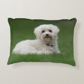 Moritz the Maltese アクセントクッション (裏面)