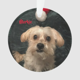 Morkieのアクリルのクリスマスのオーナメント オーナメント