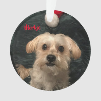 Morkieのアクリルのクリスマスのオーナメント オーナメント
