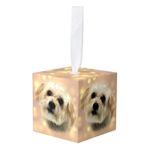 Morkieの小犬の甘い立方体のオーナメント キューブオーナメント