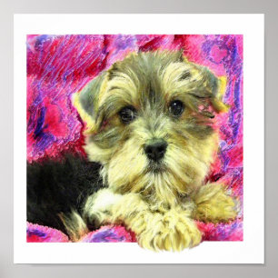 morkie puppy ポスター