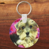 morkie puppy keychain キーホルダー (正面)