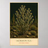 Mormon Tea ポスター (正面)