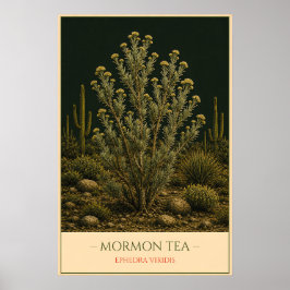 Mormon Tea – Vintage Botanical Illustration ポスター