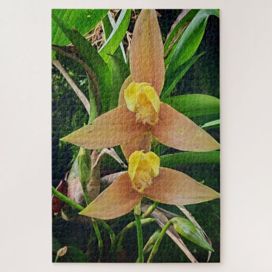 Morning Calm: Blush Petals in Gentle Focus ジグソーパズル (縦)