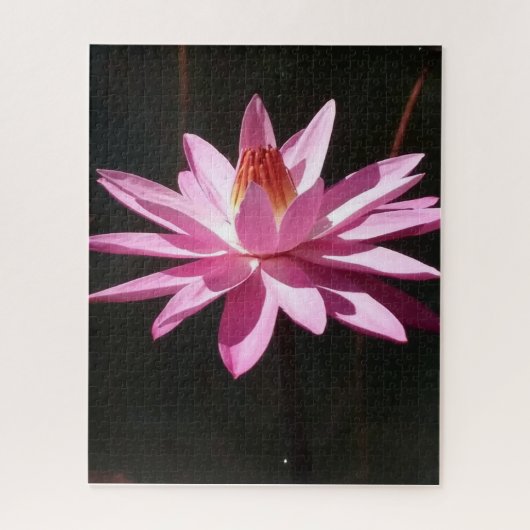 Morning Calm: Pink Lotus in Soft Natural Light ジグソーパズル (縦)