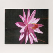 Morning Calm: Pink Lotus in Soft Natural Light ジグソーパズル (横)