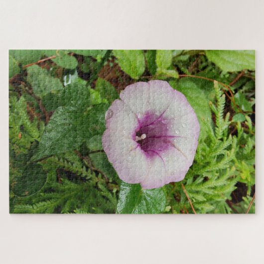 Morning Calm: Soft Dew Dropped Pink Petals ジグソーパズル (横)