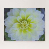 Morning Calm: White Layered Bloom in Natural Light ジグソーパズル (横)