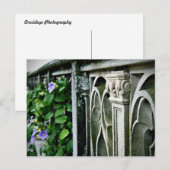 Morning Glories ポストカード (正面/裏面)