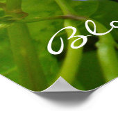 Morning Glory開花が植えられているポスター ポスター (角)