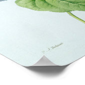 Morning Glory ポスター (角)