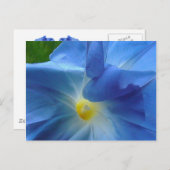 MORNING GLORY ～ポストカード ポストカード (正面/裏面)