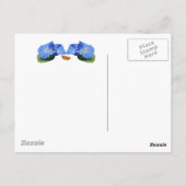 MORNING GLORY ～ポストカード ポストカード (裏面)