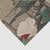 Morning Glory by Ogawa Kazumasa 薄葉紙 (詳細)