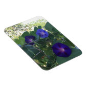 Morning Glory Kaleidoscope マグネット (右側)