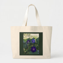 Morning Glory Kaleidoscope 