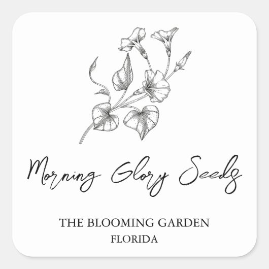 Morning Glory Seedsラベル スクエアシール (正面)