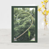 Morning Glory Tendril and Leaf Blank  カード (黄色い花)