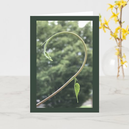 Morning Glory Tendril and Leaf Blank カード (黄色い花)