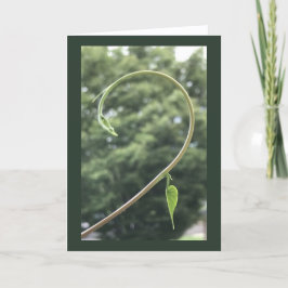 Morning Glory Tendril and Leaf Blank カード