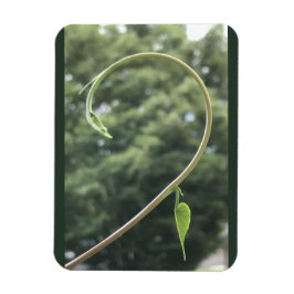 Morning Glory Tendril and Leaf Magnet マグネット