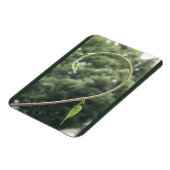 Morning Glory Tendril and Leaf Magnet マグネット (左側)