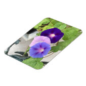 Morning Glory Trio マグネット (左側)