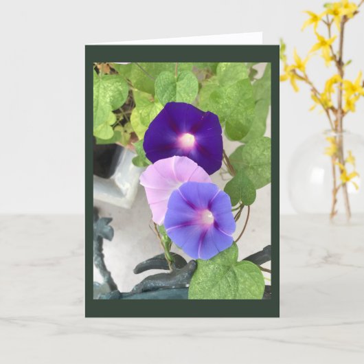 Morning Glory Trio Blank カード (黄色い花)