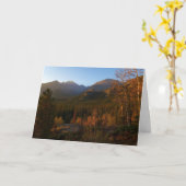 Morning Light on Rocky Mountains in Autumn カード (黄色い花)