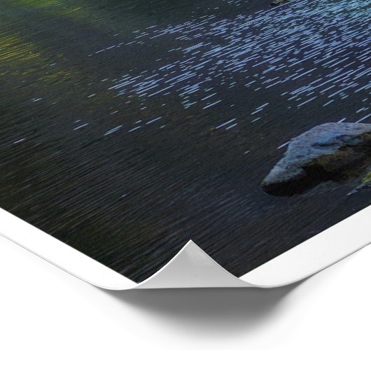 Morning Light Through the Canyon ポスター (角)