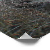 Morning on 霜の降りた Price Roadポスター ポスター (角)