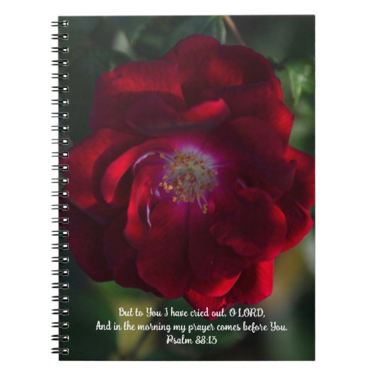 Morning Red Rose Bible Verse Prayer Journal ノートブック (正面)
