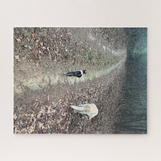 Morning Walk ジグソーパズル (横)